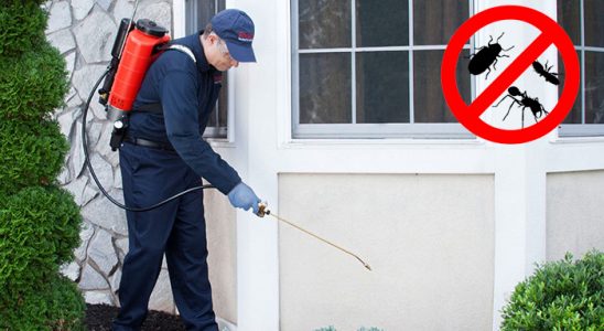 Muğla Uçan Haşere İlaçlama böcek ilaçlama ve haşere kontrolü — ilaclama-tr.com